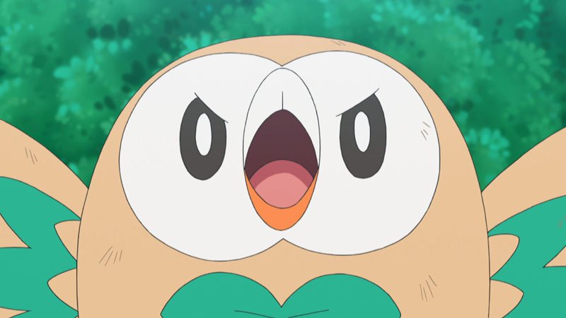 劇場版ポケットモンスター ココ アニメ ポケットモンスター サン ムーン アローラポケモンリーグではサトシとハウの白熱した試合が続く ジュナイパーのzワザを危機一髪でかわしたモクロー モクローは特訓中の フェザーダンス を出せるのか テレビ 劇場版ポケットモンスター ココ アニメ ポケットモンスター サン ムーン アローラポケモンリーグではサトシとハウの白熱した試合が続く ジュナイパーのzワザを危機一髪でかわしたモクロー モクローは特訓中の フェザーダンス を出せるのか テレビ