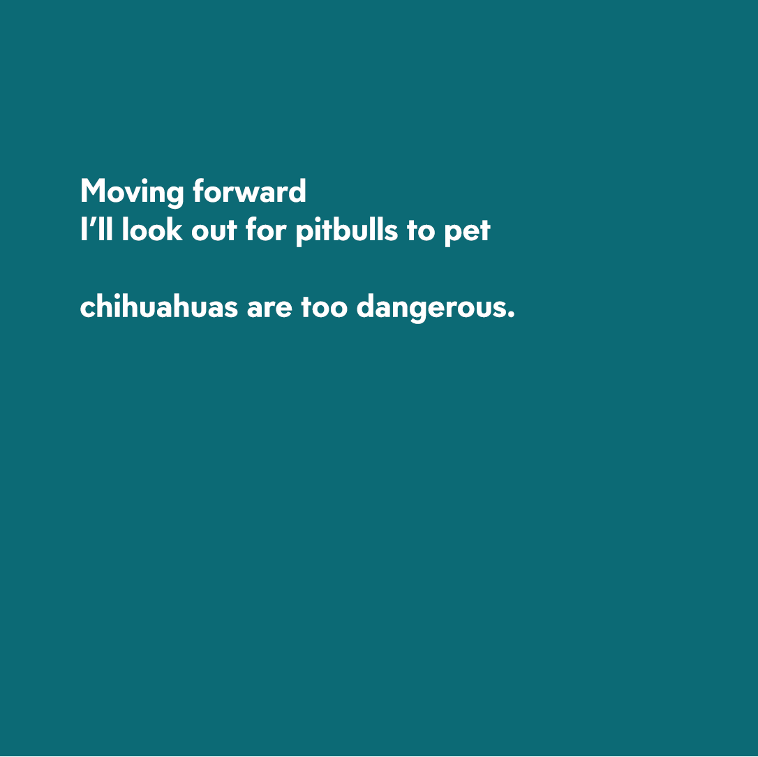 Mudfishblog's tweet photo. A poem about stroking Chihuahuas #newwriting #chihuahua #pittbull #poem https://t.co/8VER0S2CAV