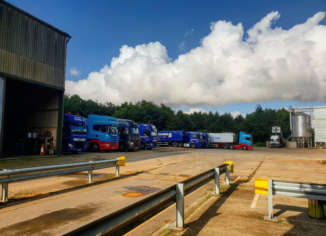 Happy Friday from <a href="/OpenfieldTM/">Openfield: More than just grain.</a> down at <a href="/EstatePickenham/">South Pickenham Estate</a> great start with the lorries this morning. Over 8000tonnes of Malting Barley in the store so far. 🌾🚜 #harvest19