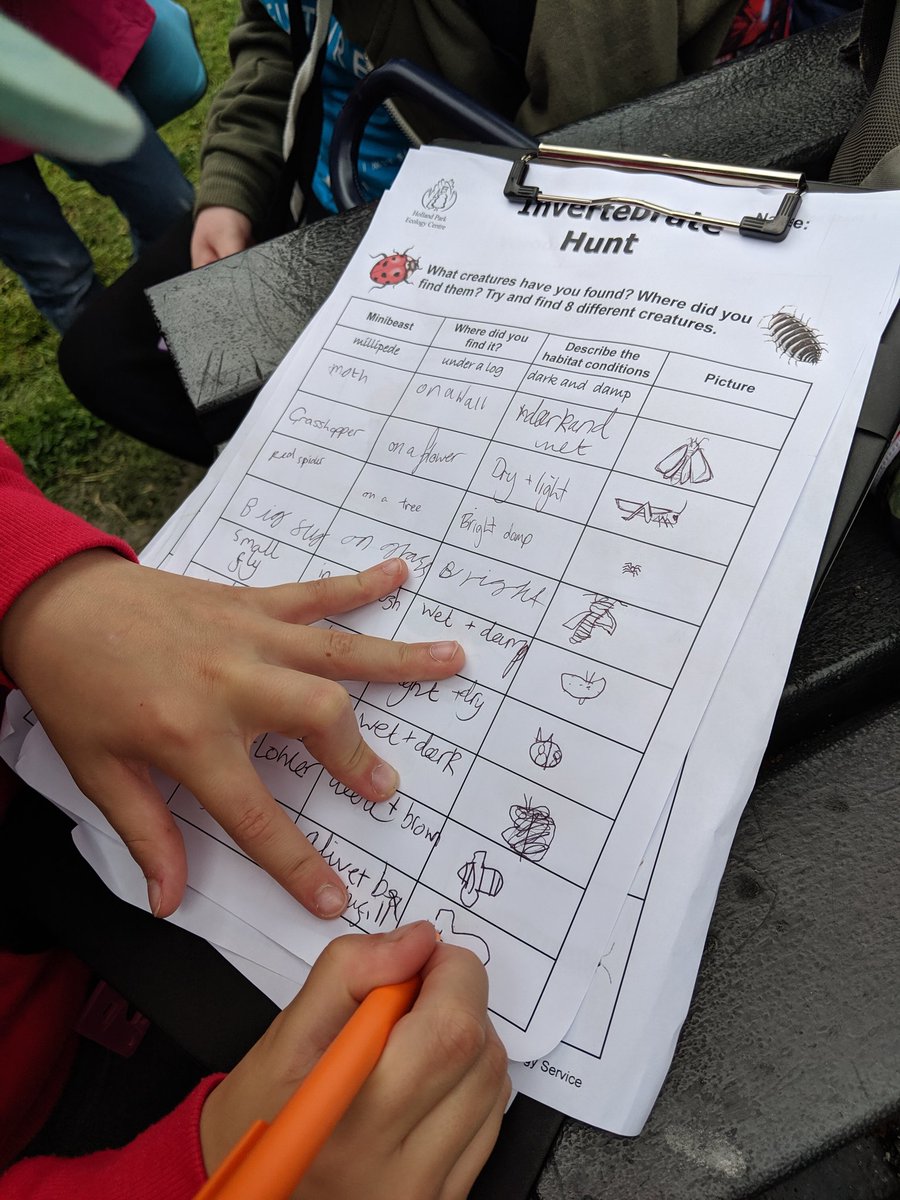 TWeek2019's tweet image. Survey!