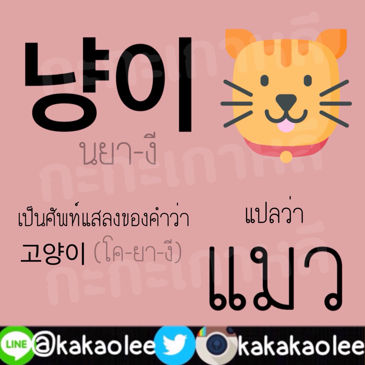 How to เรียก “หมา” กับ “แมว” ให้น่ารัก 
#ภาษาเกาหลี