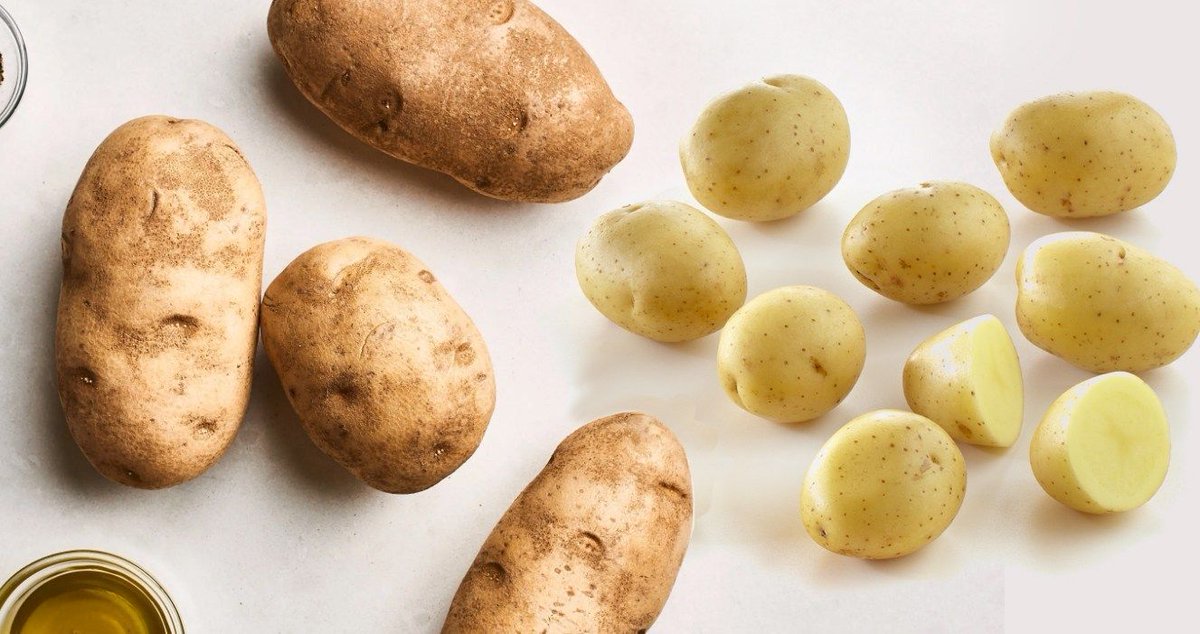 MelissasDYPs's tweet photo. Wondering why we love our dutch yellow potatoes? Check out this blogpost to learn the reasons why DYPs are the best: https://t.co/v3QyfxWEGI https://t.co/ILKpf5JgUg