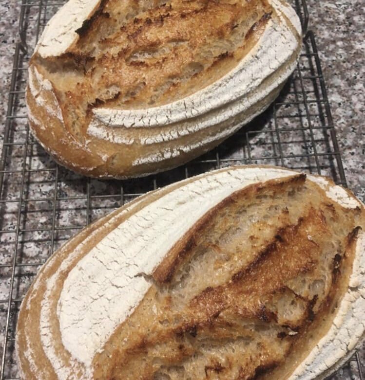 BreadAngels's tweet image. This week’s roundup of fabulous @BreadAngels bakes @BreadSarah @WellBreadAlex @fentrepreneuruk @women_food_wifi #WeAreRealBread @RealBread #sourdough #learnhowtobakebread Find your local Bread Angel: bit.ly/BreadAngelsNet…