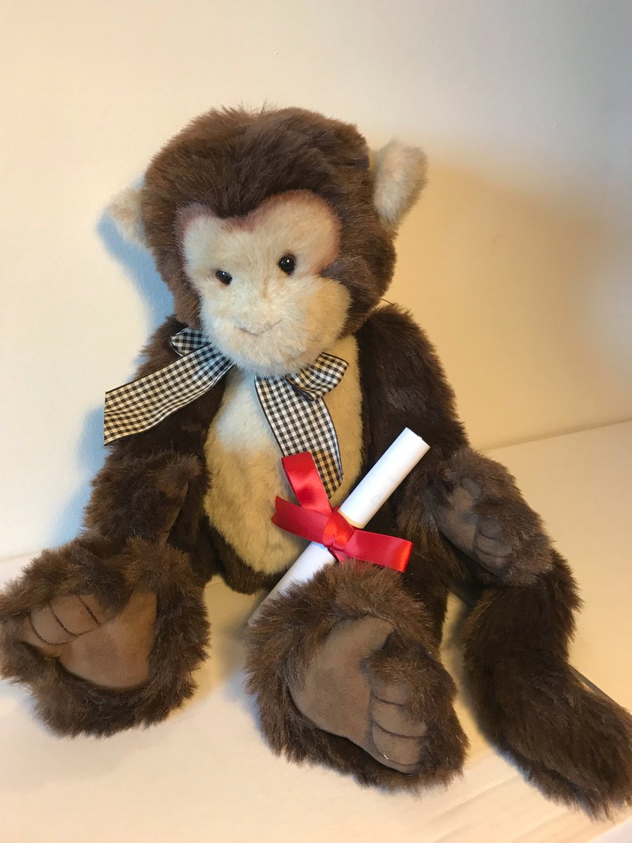 SueandBear's tweet image. After an unavoidable break, Exceptional Bears is really happy to be back with all our good friends on Twitter, with an EXCEPTIONAL ANNOUNCEMENT!
Please read our blog post…
exceptionalbears.com/blog

#transitionalobjects #childsbestfriend #theteddytrust  #teddygraduates #teddybear