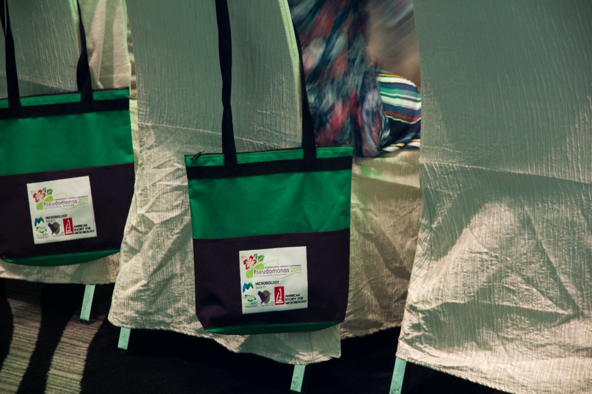 Angsa Angsa59389668 Twitter