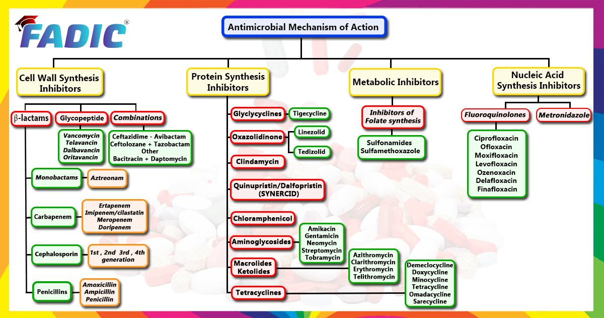 mechanisms of secondary brain damage in cerebral