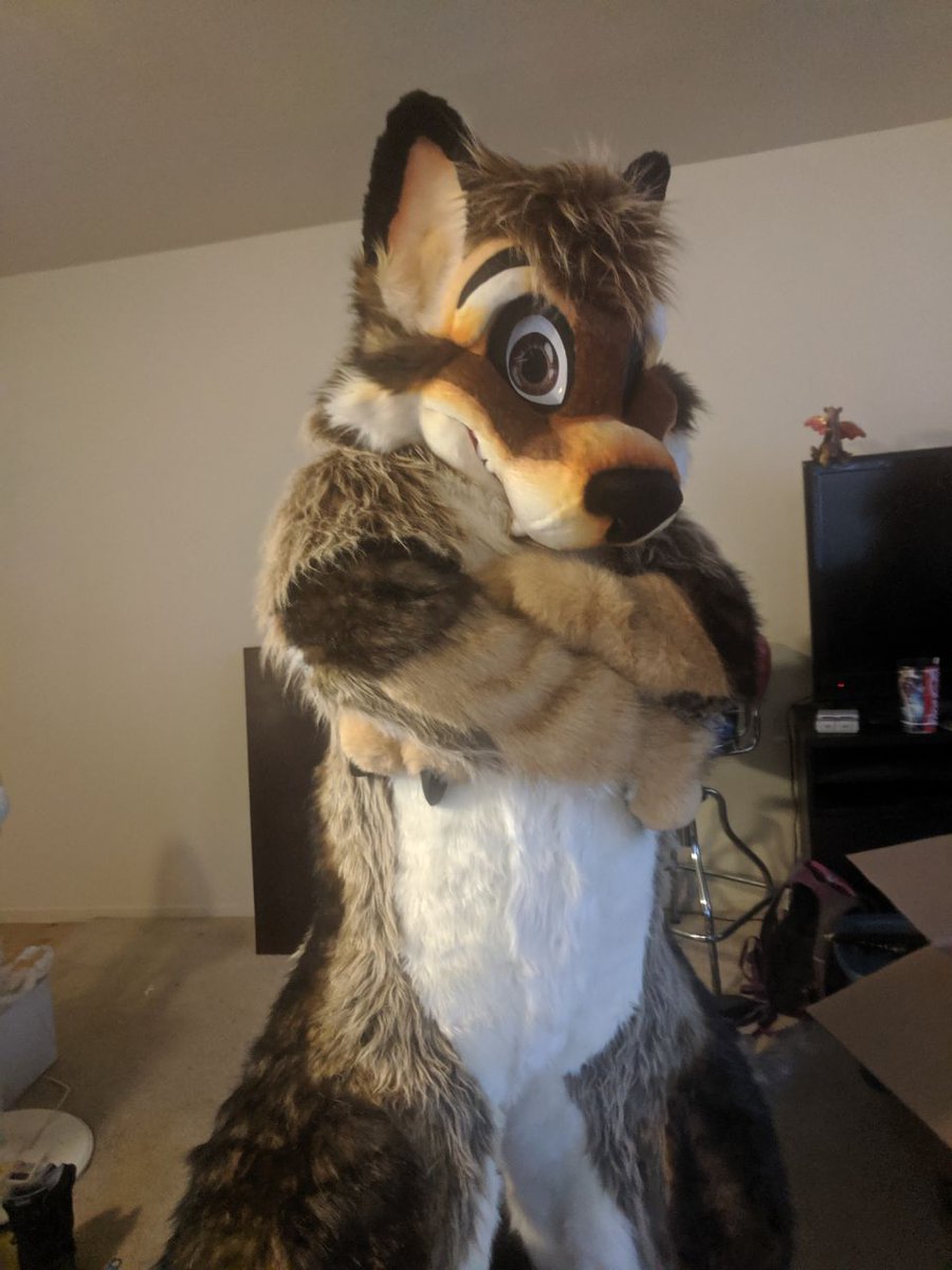 WolfyLion's tweet image. First #FursuitFriday with the new suit. I love it so much! Hello all the new followers! Hello all the old ones! Remember you are amazing!
Info For new followers:
wolfyLion preferred, WolfyLion ok, Wolfylion never!
Just Lion works too♥️
Pronouns:male but not picky
✂️@morefurless