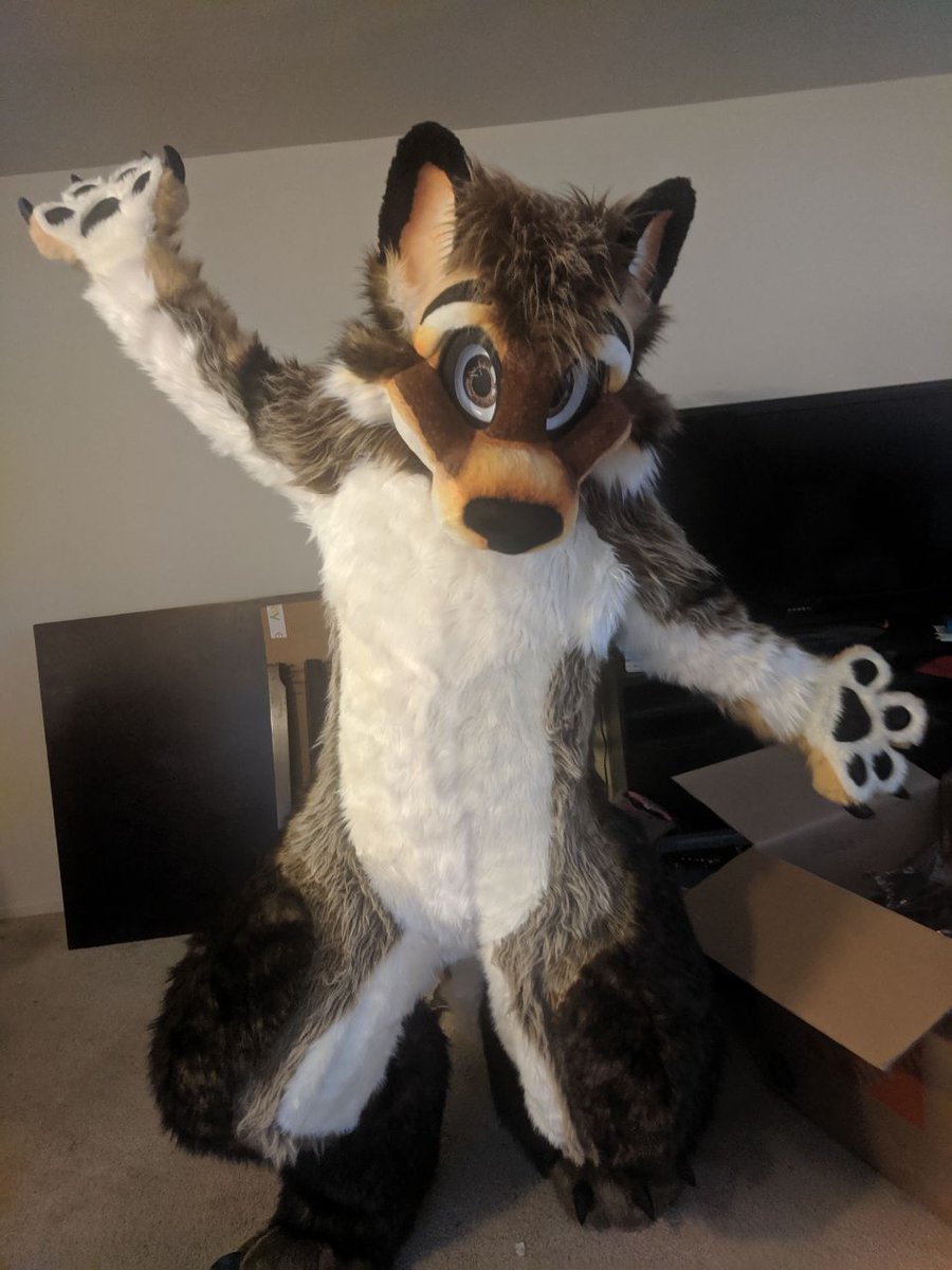 WolfyLion's tweet image. First #FursuitFriday with the new suit. I love it so much! Hello all the new followers! Hello all the old ones! Remember you are amazing!
Info For new followers:
wolfyLion preferred, WolfyLion ok, Wolfylion never!
Just Lion works too♥️
Pronouns:male but not picky
✂️@morefurless