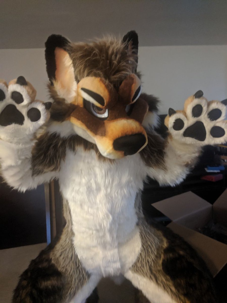 WolfyLion's tweet image. First #FursuitFriday with the new suit. I love it so much! Hello all the new followers! Hello all the old ones! Remember you are amazing!
Info For new followers:
wolfyLion preferred, WolfyLion ok, Wolfylion never!
Just Lion works too♥️
Pronouns:male but not picky
✂️@morefurless