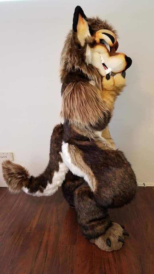 WolfyLion's tweet image. First #FursuitFriday with the new suit. I love it so much! Hello all the new followers! Hello all the old ones! Remember you are amazing!
Info For new followers:
wolfyLion preferred, WolfyLion ok, Wolfylion never!
Just Lion works too♥️
Pronouns:male but not picky
✂️@morefurless