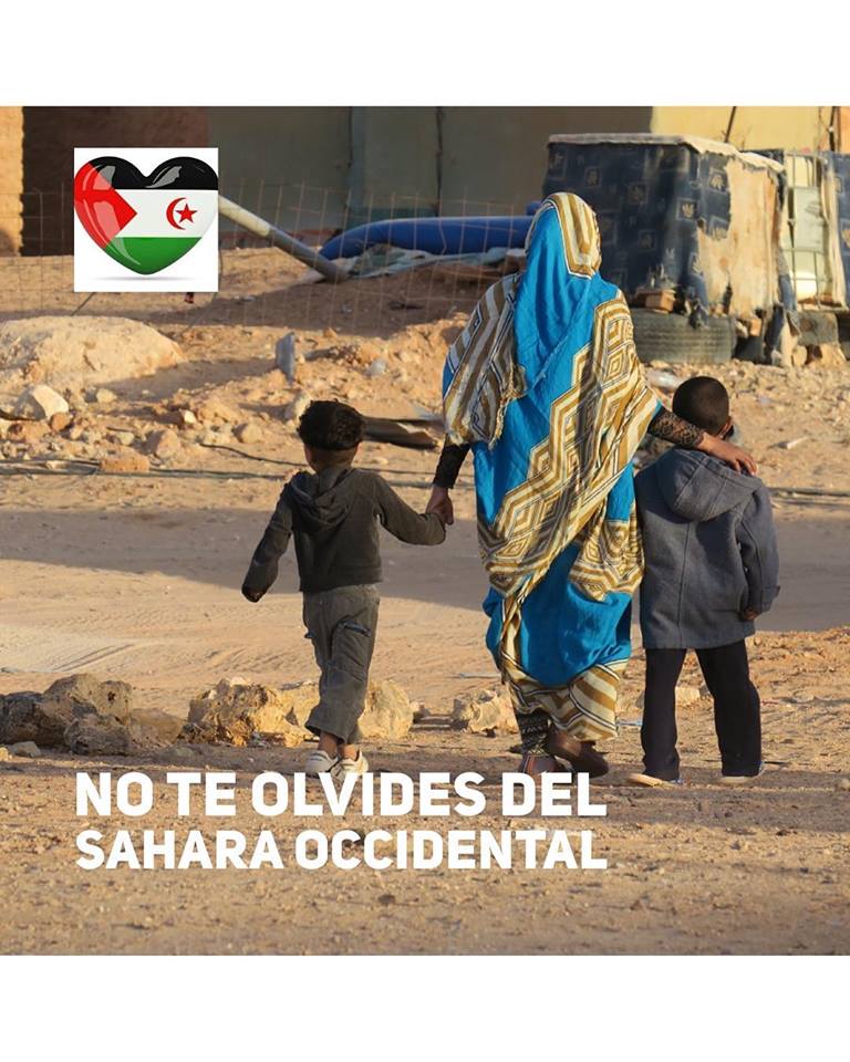 Sahara_1951's tweet photo. No te olvides del Sahara Occidental ningún día, NUNCA
https://t.co/06kA5LFRo8
El #SaharaOccidental es #Saharaui #ReferendumNOW
#SaharaLibre #FreeWesternSahara #CompromisoSahara https://t.co/dNVNR9Xcjl