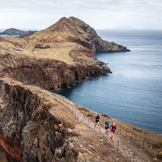 David Gonthier tweet media