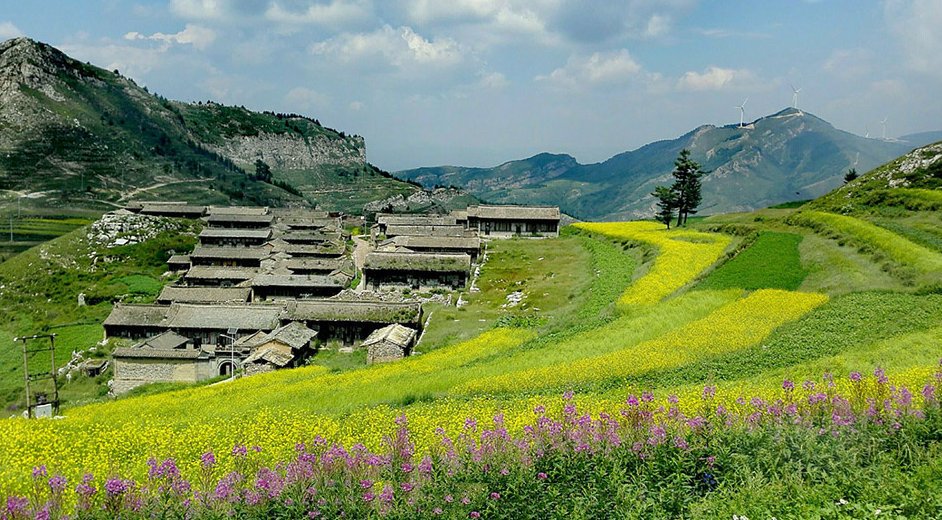 The rape flowers in Heshui Village, Yuanping City, Shanxi Province are in full bloom. Don't miss this idyllic scenery!