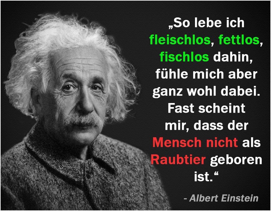 ► natural-energizer-lifestyle.de