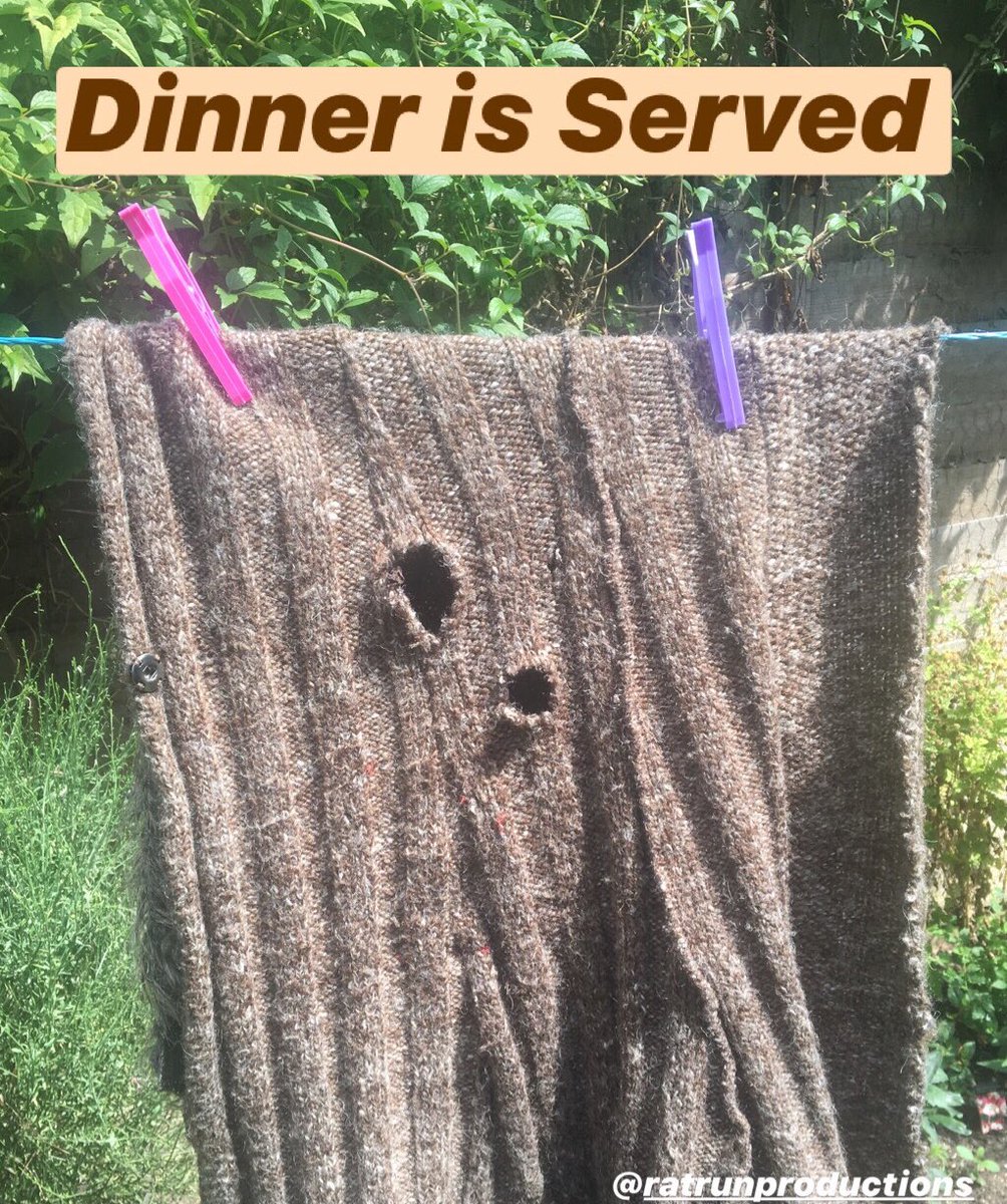 Weekly Sketch Drop | 03/08/19