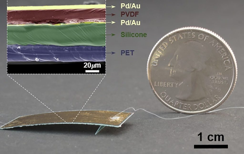 Hamam böceğinden daha hızlı hareket edebilen minik robot dunyahalleri.com/hamam-bocegind…