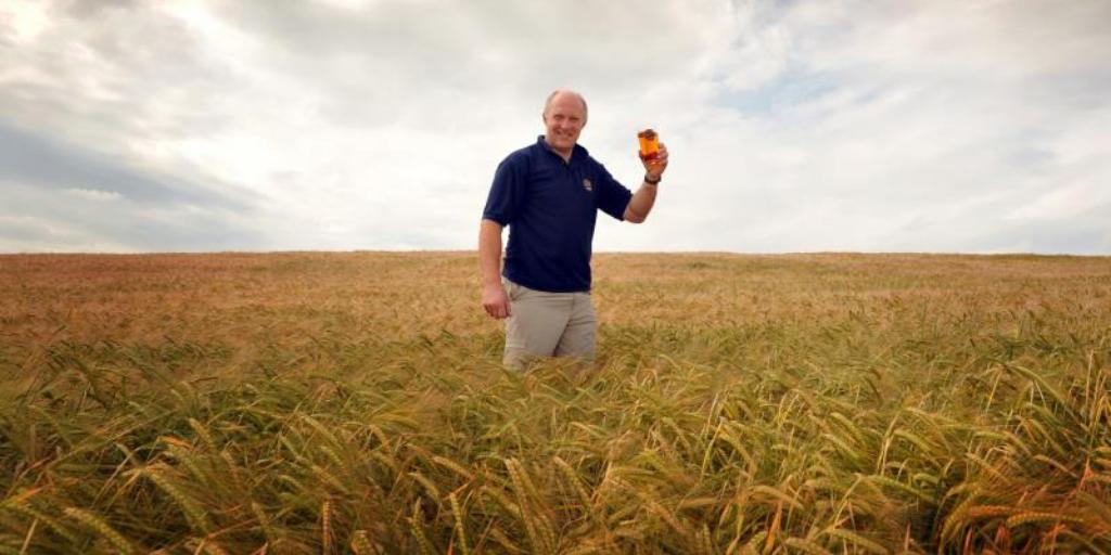 NFUtweets's tweet photo. Did you know 24 billion pints of beer are made using UK barley every year? Cheers! 🍻 #InternationalBeerDay https://t.co/r6oDSIp3j8