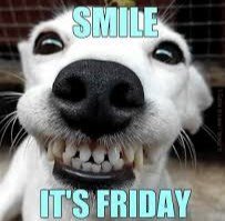 Toothy Friday smiles.. 😃

#freeyoursmile