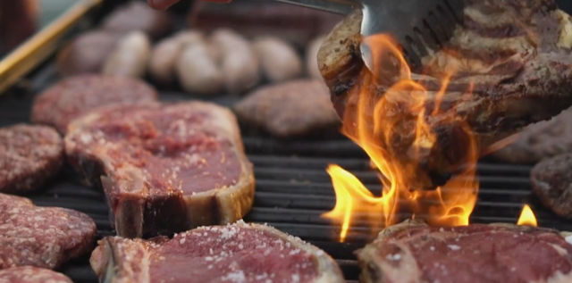 Check out our new #pastureforlife #film #pasturefed #grainfree youtube.com/watch?v=OQT6dr…