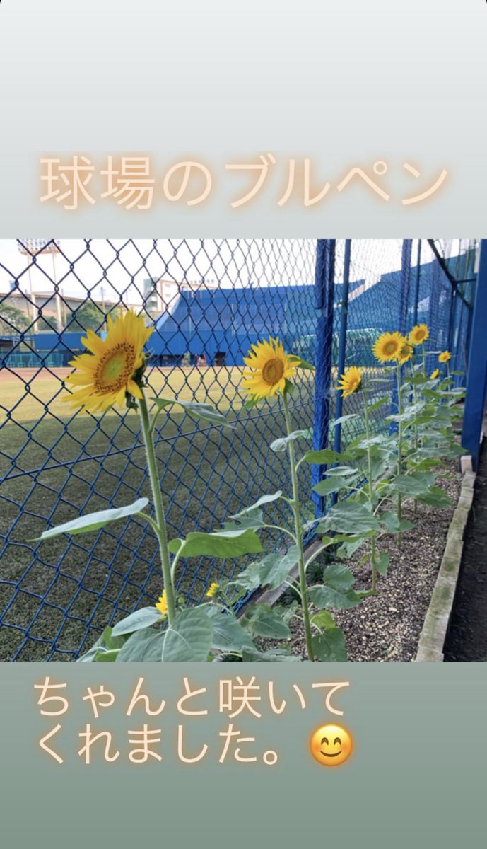 君津球場 君津球場