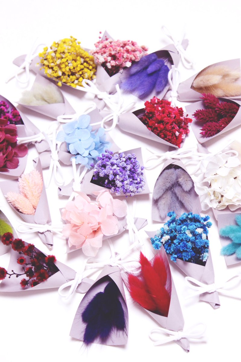 상상꽃 tweet media