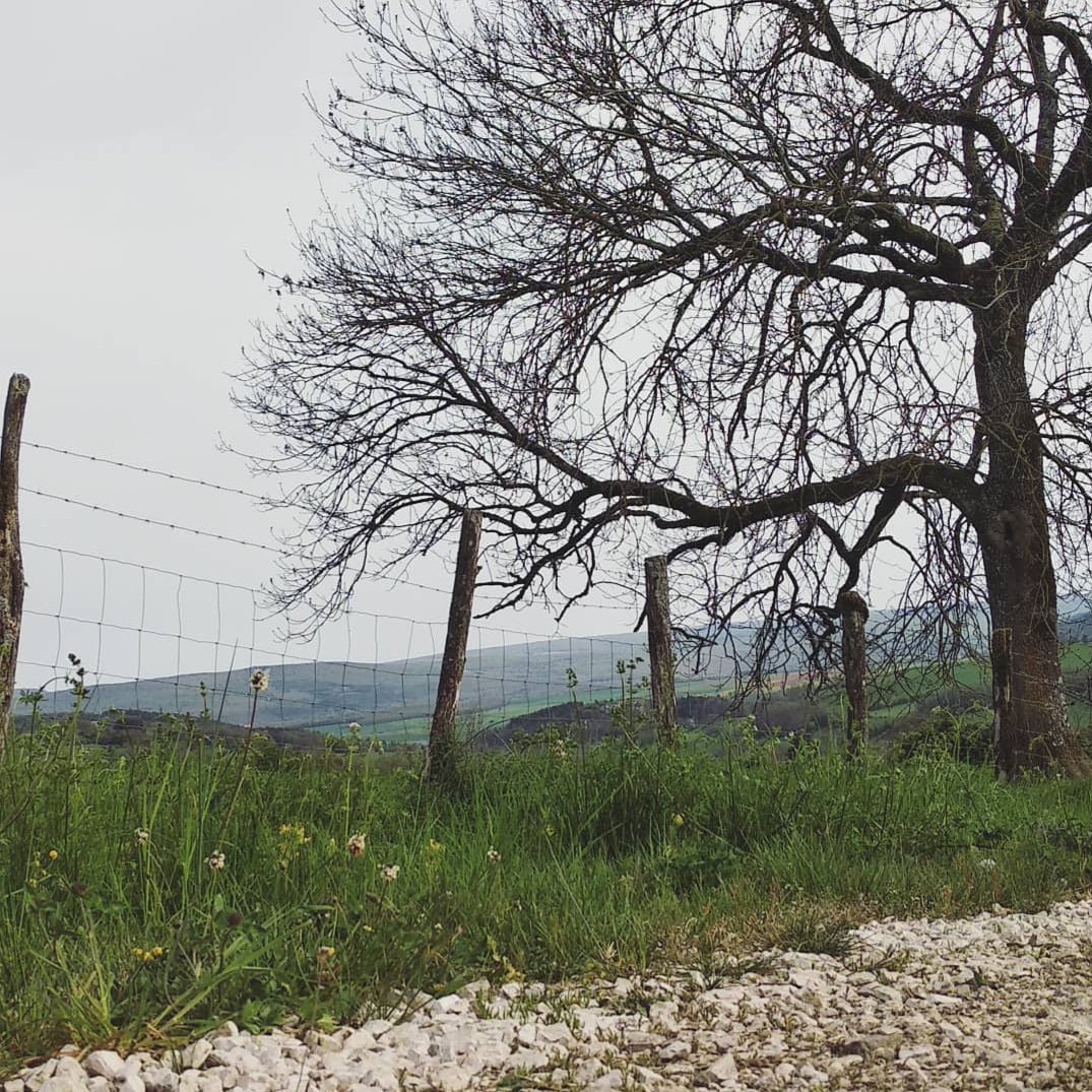 intersistence's tweet photo. Faire retour ☁️
https://t.co/ZhjyGPoXTs
.
#yoga #yogini #femininsacre #nature #meditation #tantra #vegan #intersistence #instantsage #psychologie https://t.co/mIAd5BS7qy