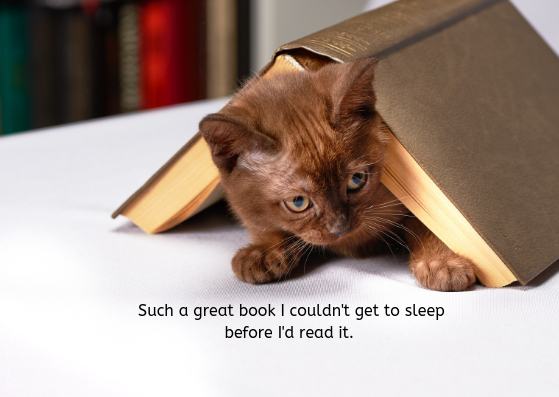 FreadoRomance's tweet photo. Such a great book I couldn't get to sleep before I'd read it....
#author #writer #reader #amwriting #amreading #book #bookworm https://t.co/qahquG7t1o