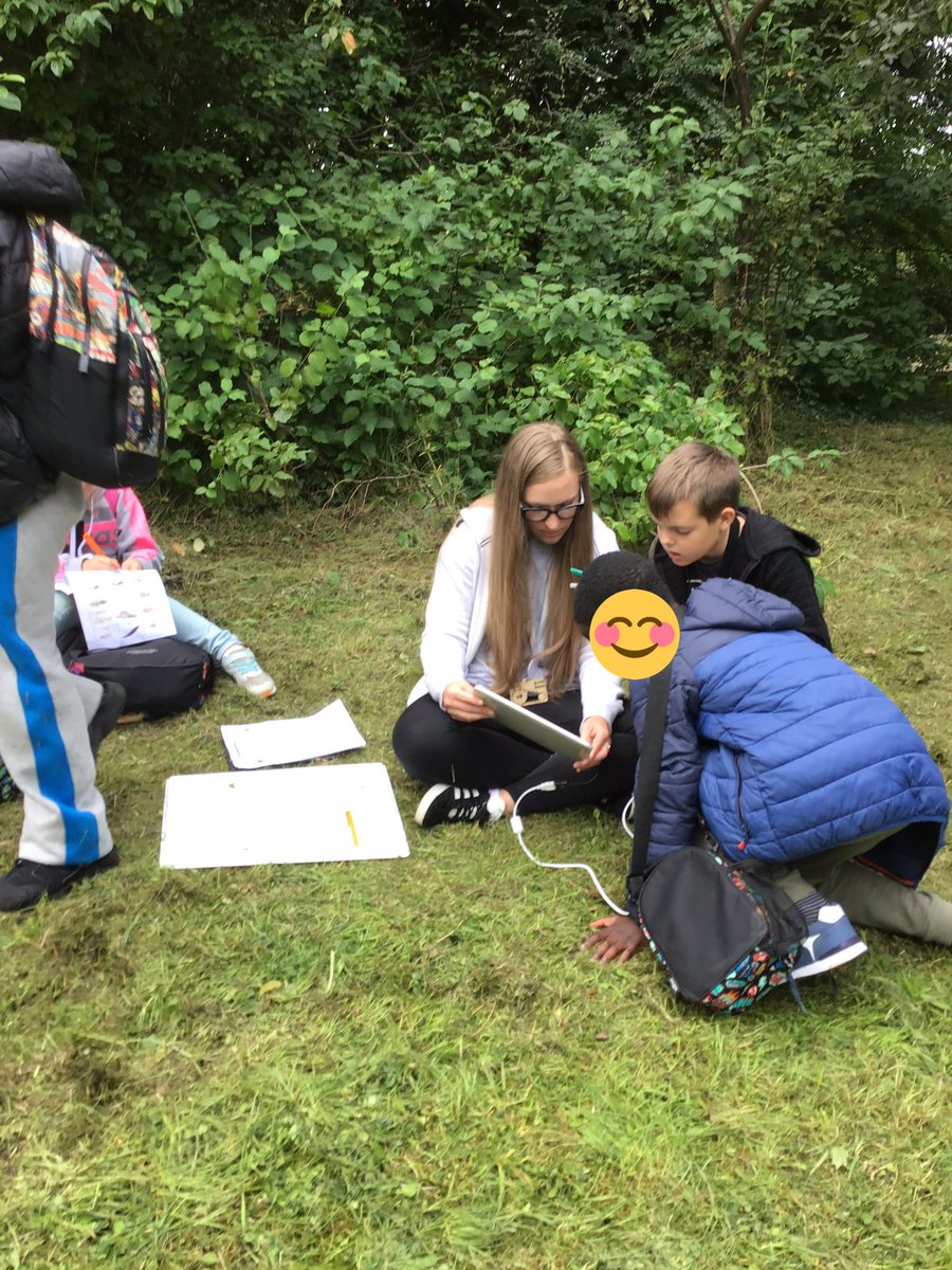 TWeek2019's tweet image. At the park looking for mini beasts 🌳🕸🐜🕷🦗🐞