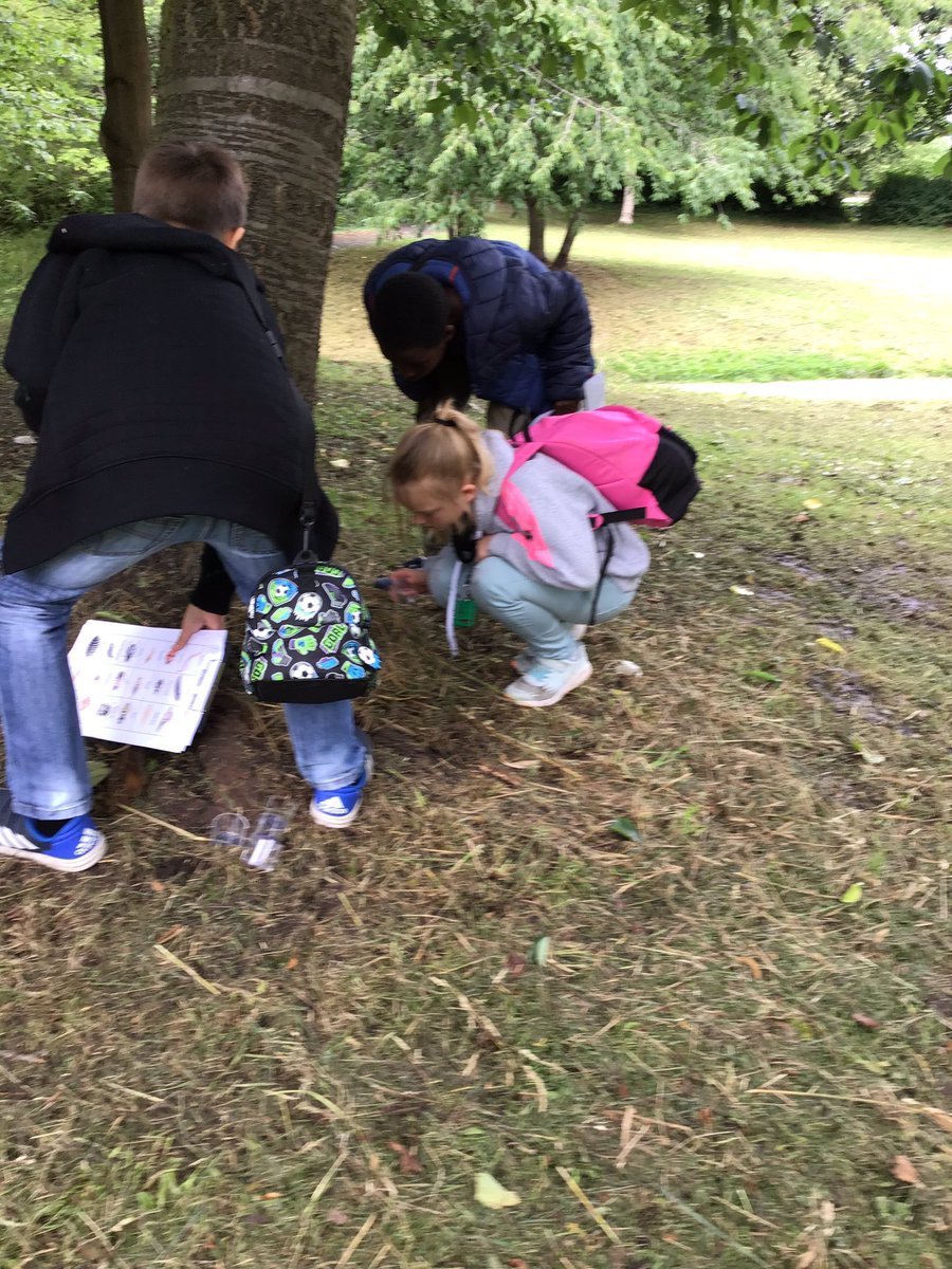 TWeek2019's tweet image. At the park looking for mini beasts 🌳🕸🐜🕷🦗🐞
