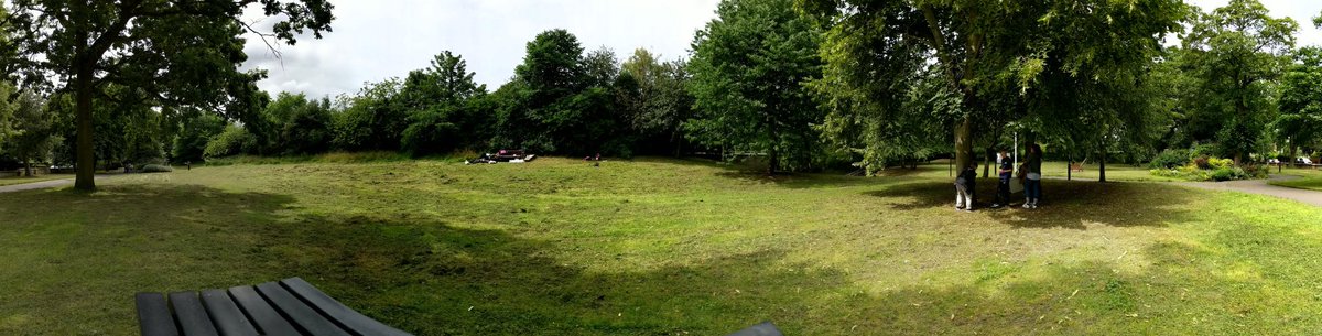 TWeek2019's tweet image. Think Week bug hunting