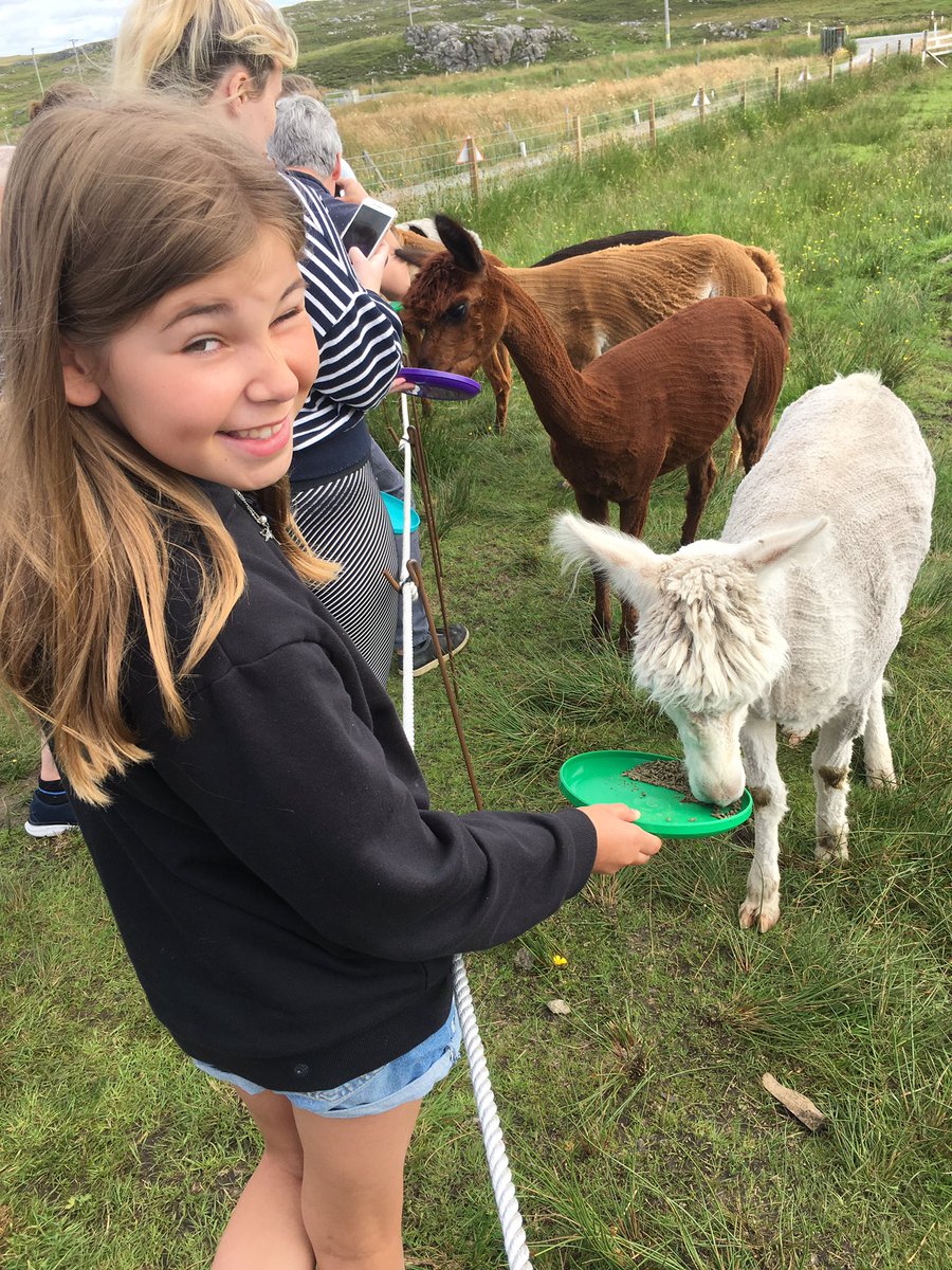 KerryanneOwens's tweet photo. Fun morning meeting the animals and feeding the alpacas #love #happiness #relaxed #nodisasters Off into town to@see what going on at the Food Festival and have a turn on the waltzers 🙈 https://t.co/N5g17sL1hO