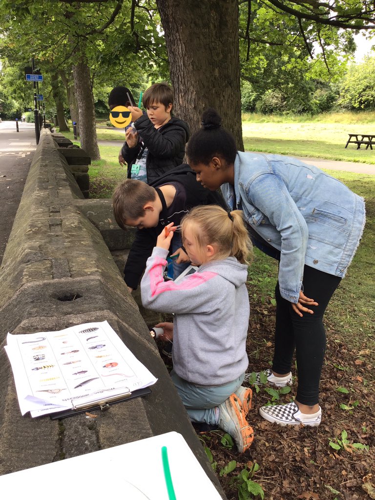 TWeek2019's tweet image. Bugs are fascinating. The incredible wildlife of a Newcastle park. #thinkweek #greendreamteam