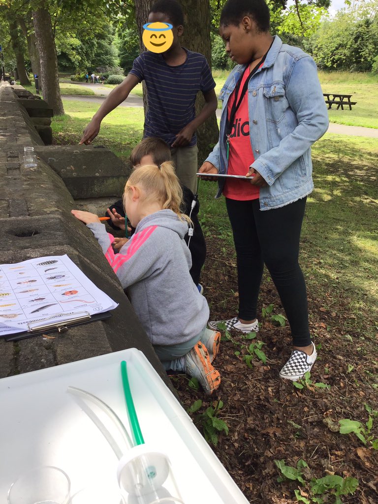 TWeek2019's tweet image. Bugs are fascinating. The incredible wildlife of a Newcastle park. #thinkweek #greendreamteam