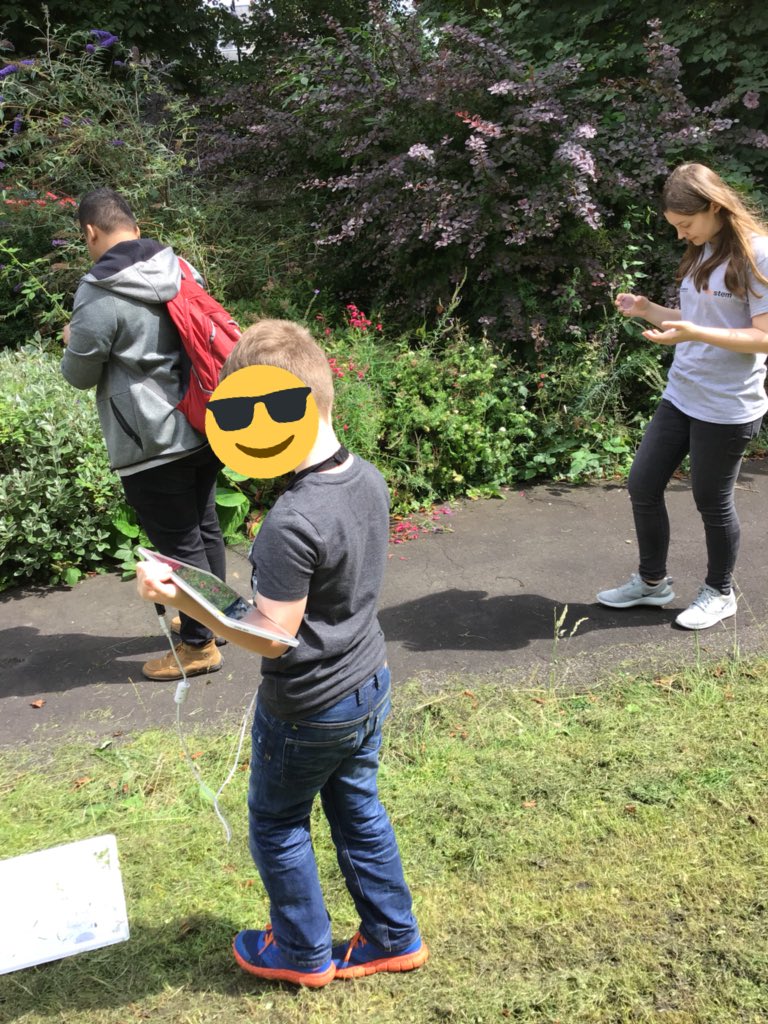 TWeek2019's tweet image. Hunting for bugs #thinweek#whiteteam