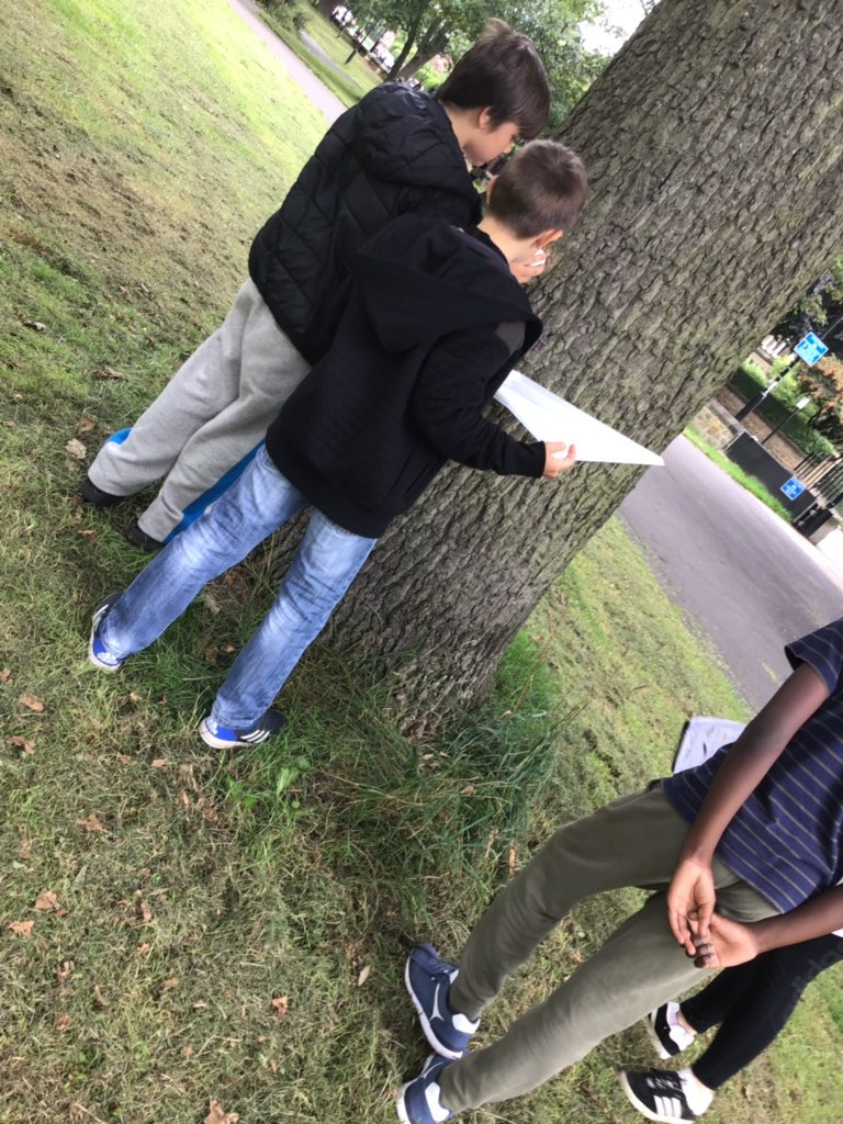 TWeek2019's tweet image. Lots of fascinating things have been found. Warning ⚠️ there is dirt everywhere. #thinkweek #greendreamteam