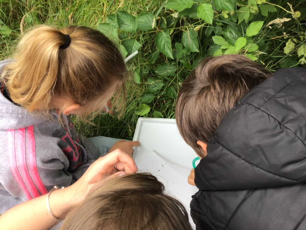 TWeek2019's tweet image. Lots of fascinating things have been found. Warning ⚠️ there is dirt everywhere. #thinkweek #greendreamteam