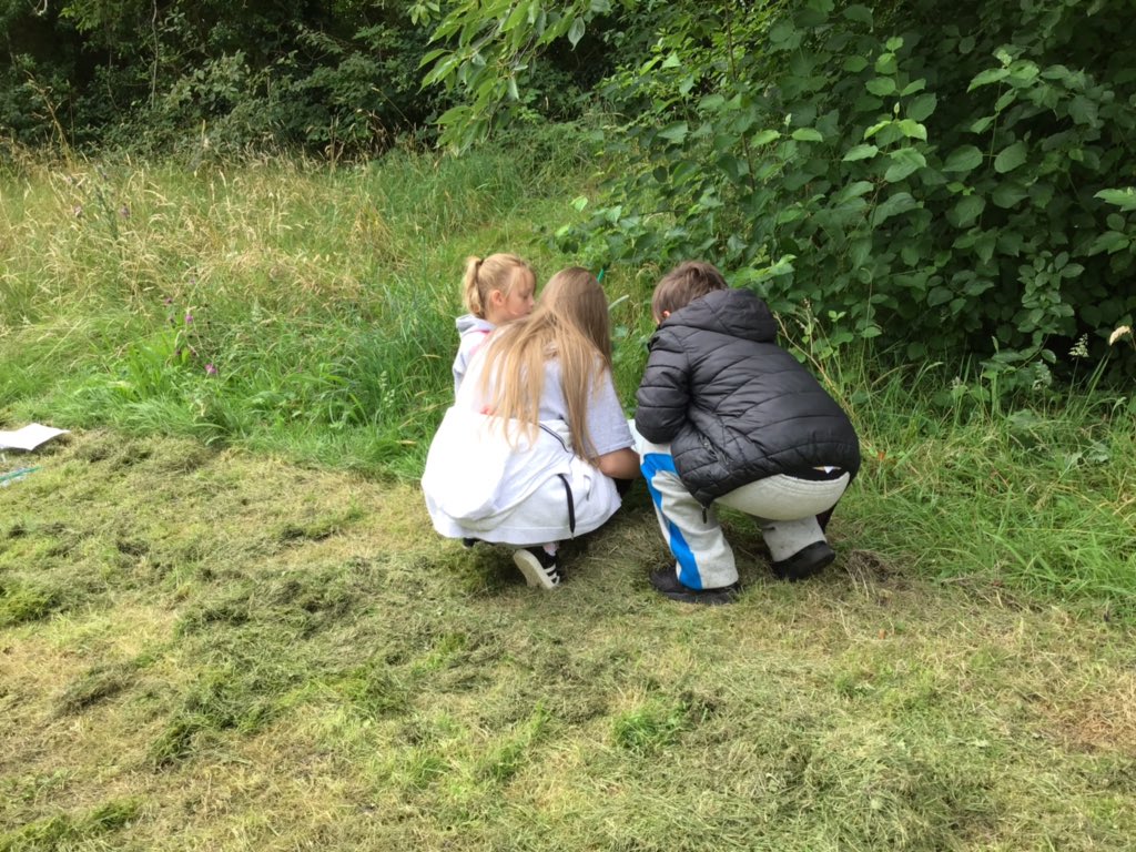 TWeek2019's tweet image. Lots of fascinating things have been found. Warning ⚠️ there is dirt everywhere. #thinkweek #greendreamteam