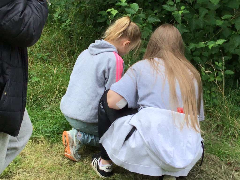 TWeek2019's tweet image. Lots of fascinating things have been found. Warning ⚠️ there is dirt everywhere. #thinkweek #greendreamteam