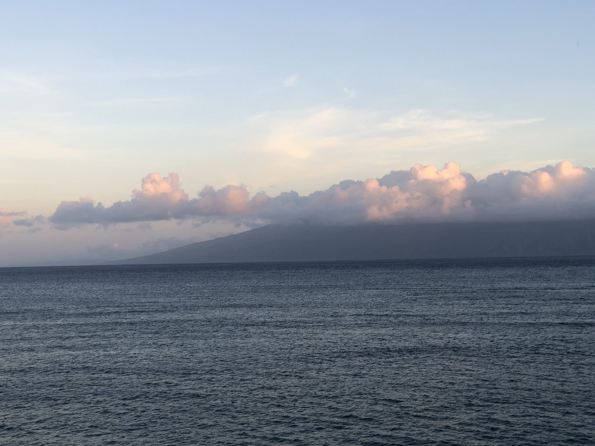 Sherri Hoffman tweet media