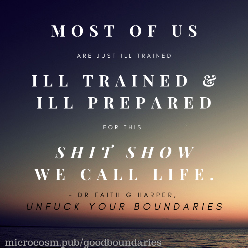 Microcosmmm's tweet photo. [image of sunset &amp; quote "Most of us are just ill trained &amp; ill prepared for this shit storm we call life. - Dr Faith G Harper, Unf*ck Your Boundaries"] #goodboundaries #goodrelationships #socialskills #bookquotes #personalgrowth #drfaithharper #fiveminutetherapy #SundayThoughts https://t.co/gTjTo001SC