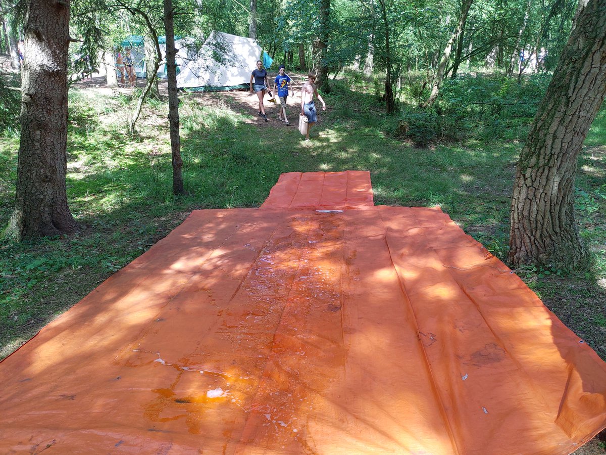 Scouts Haagse Hout (@haagsescout) on Twitter photo 
