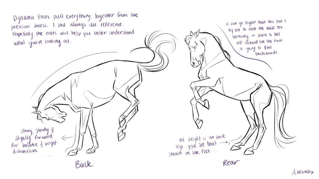 concept horses | Cats art drawing, Horse drawings, Animal drawings