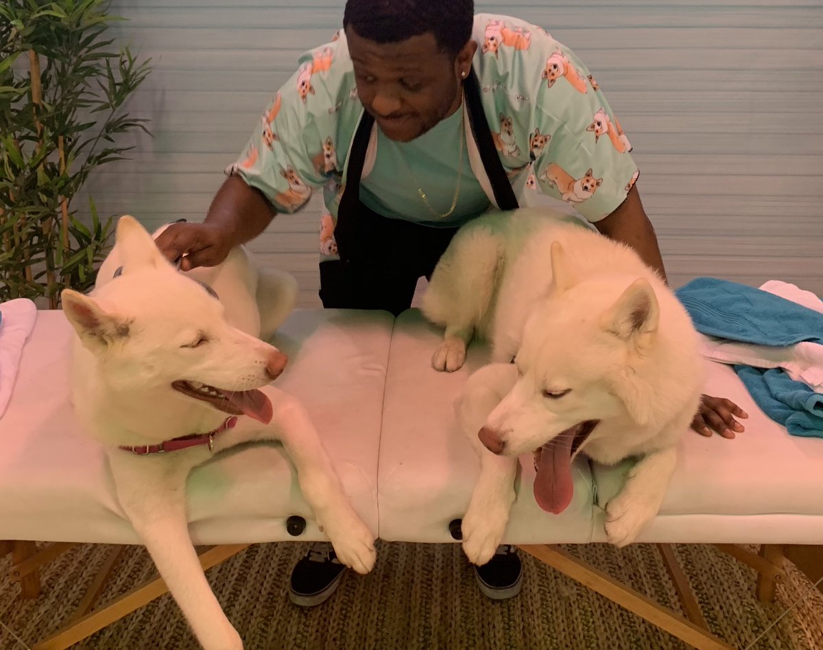 barkbox's tweet image. Hey BarkBox family! This is Thor and Winter’s dad @mattwasfunny  taking over the bark box twitter! We gotta heat wave in nyc, I’m gonna show you how these babies stay cool!