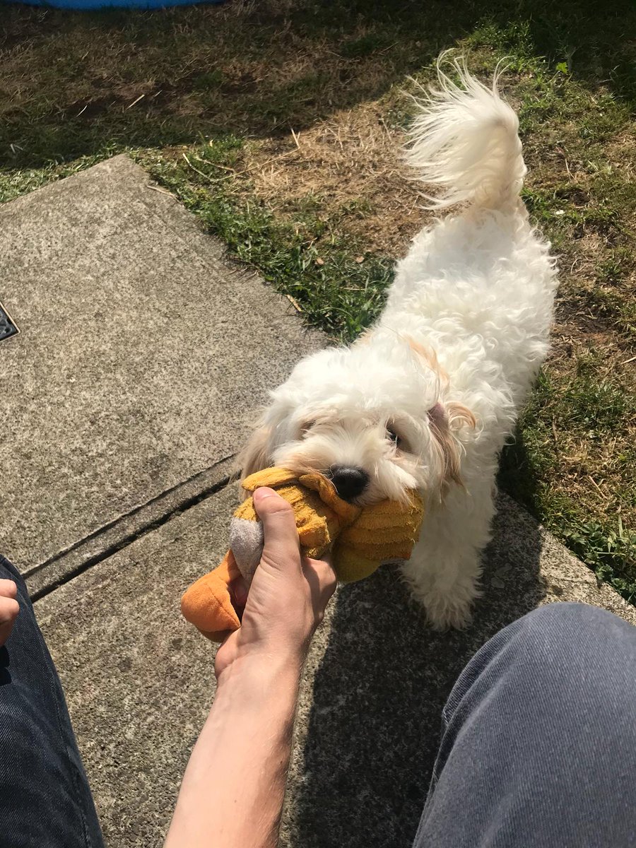 Nug-Life tweet media