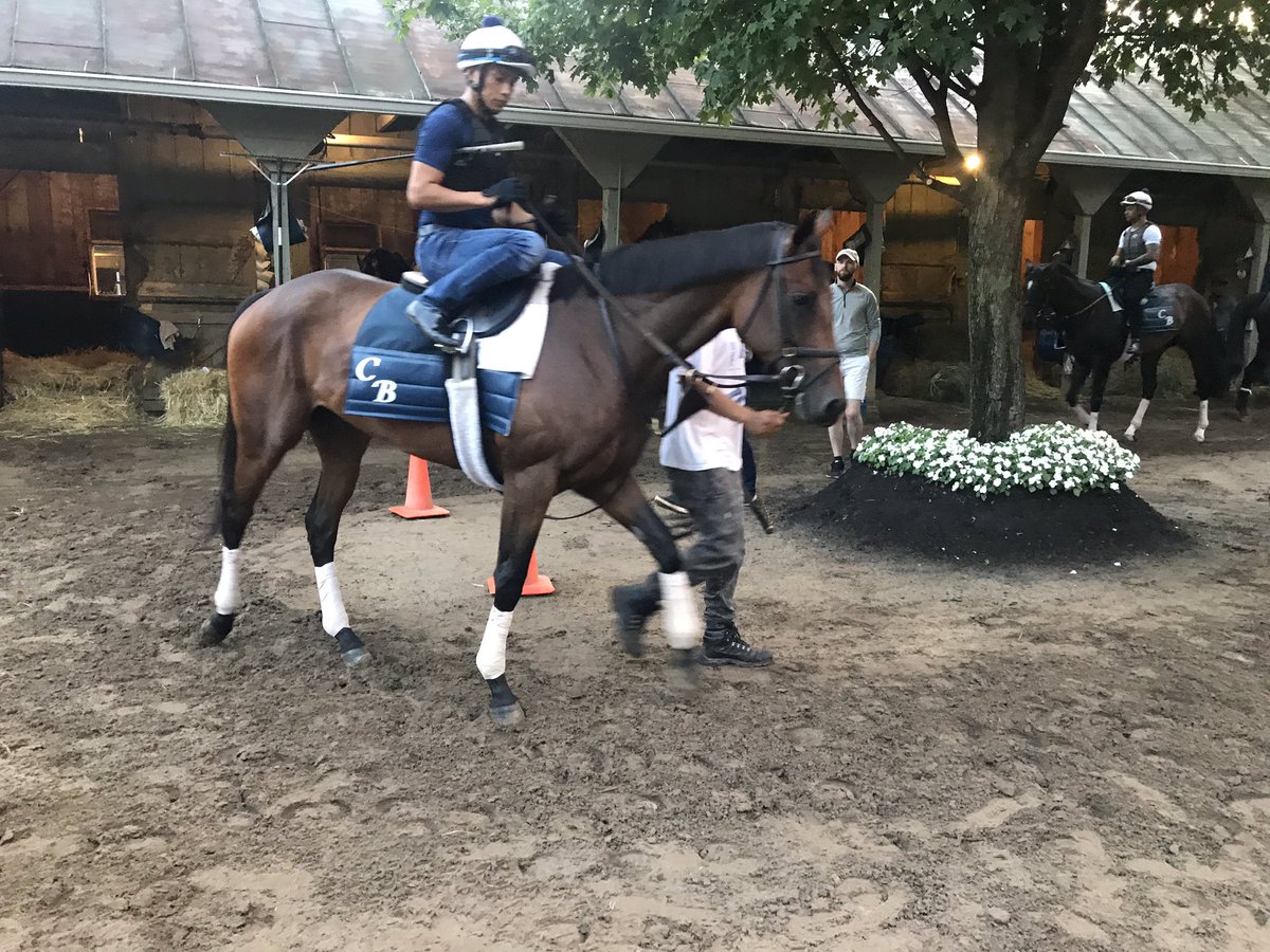 13thoroughbreds's tweet photo. G1 Acorn winner in Saratoga yesterday morning. The @Three_Chimneys homebred filly runs in the G1 CCA Oaks this afternoon. Wishing her good luck, and ๐๐ป for safe racing for all today and every day. #threechimneysfarm #iamhorseracing https://t.co/1Z3AhQ2KjA