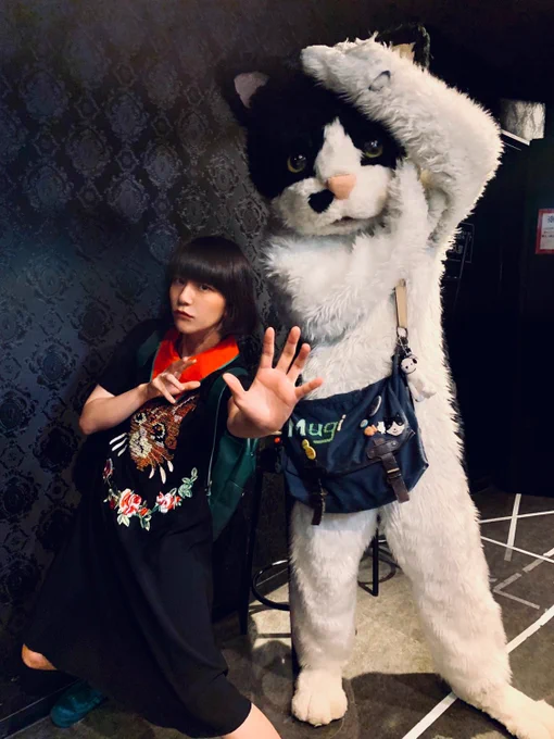 むぎ(猫)ちゃんのライブにお邪魔してまいりました
開幕3秒で飼っている猫を思い出して号泣してしまい化粧が全てはがれ落ちました
本当にいいライブだったー
最高すきぃまた絶対会いに行きますLOVE 