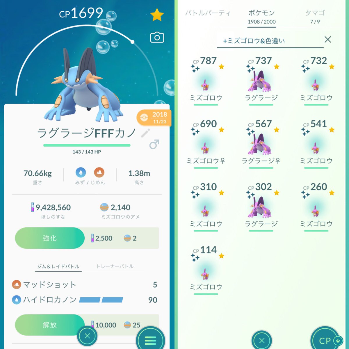 ヌマクロー Twitter Search