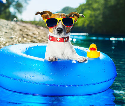 premlets's tweet photo. Top Things To Do In Summer For Students #StudentHut - https://t.co/QR6M5KBu4m https://t.co/nVTJR8RsfQ