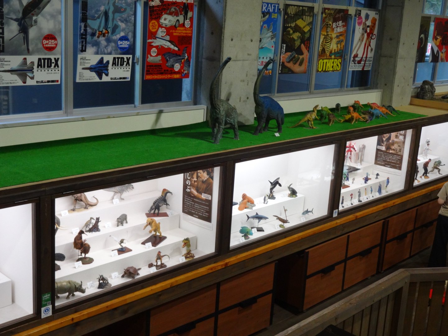 いっちー ﾈｲﾁｬｰﾌｨｷﾞｭｱ そして松村さんのコーナー 古生物と現生生物で2ケース分たっぷり 素晴らしい