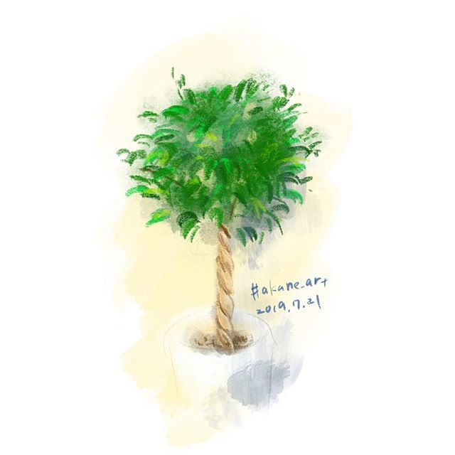 Akane Art Ficus Benjamina Ficusbenjamina Ficus ベンジャミン 観葉植物 Foliage Akane Art イラスト Illustration Drawing Art Painting Procreate 一日一絵 Onesktchaday Onedrawingaday 365drawings T Co I7emtse5l5